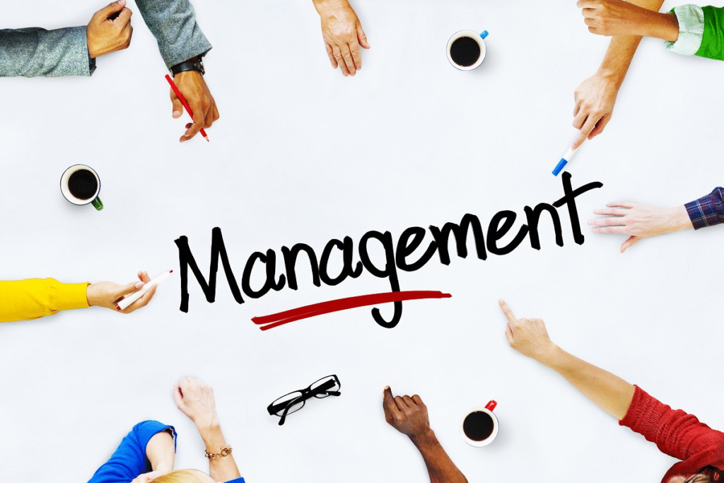 Level 4 & Level 5 Management Pathway - Neo Media Creative